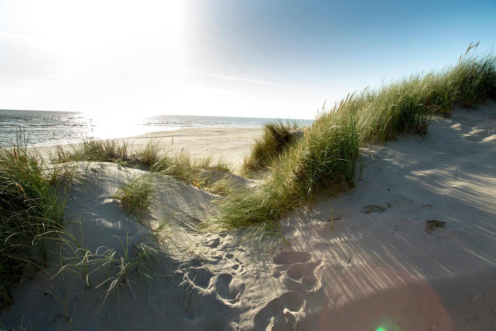 Barmouth Bay Holiday Park Llanddwywe Extérieur photo